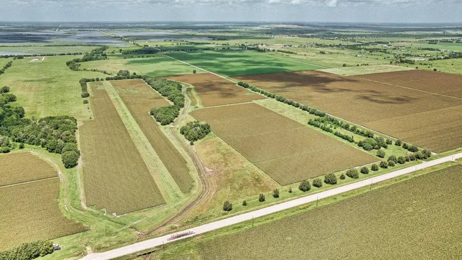 0000 Fm 1462 Road, Damon, TX 77430 - #2