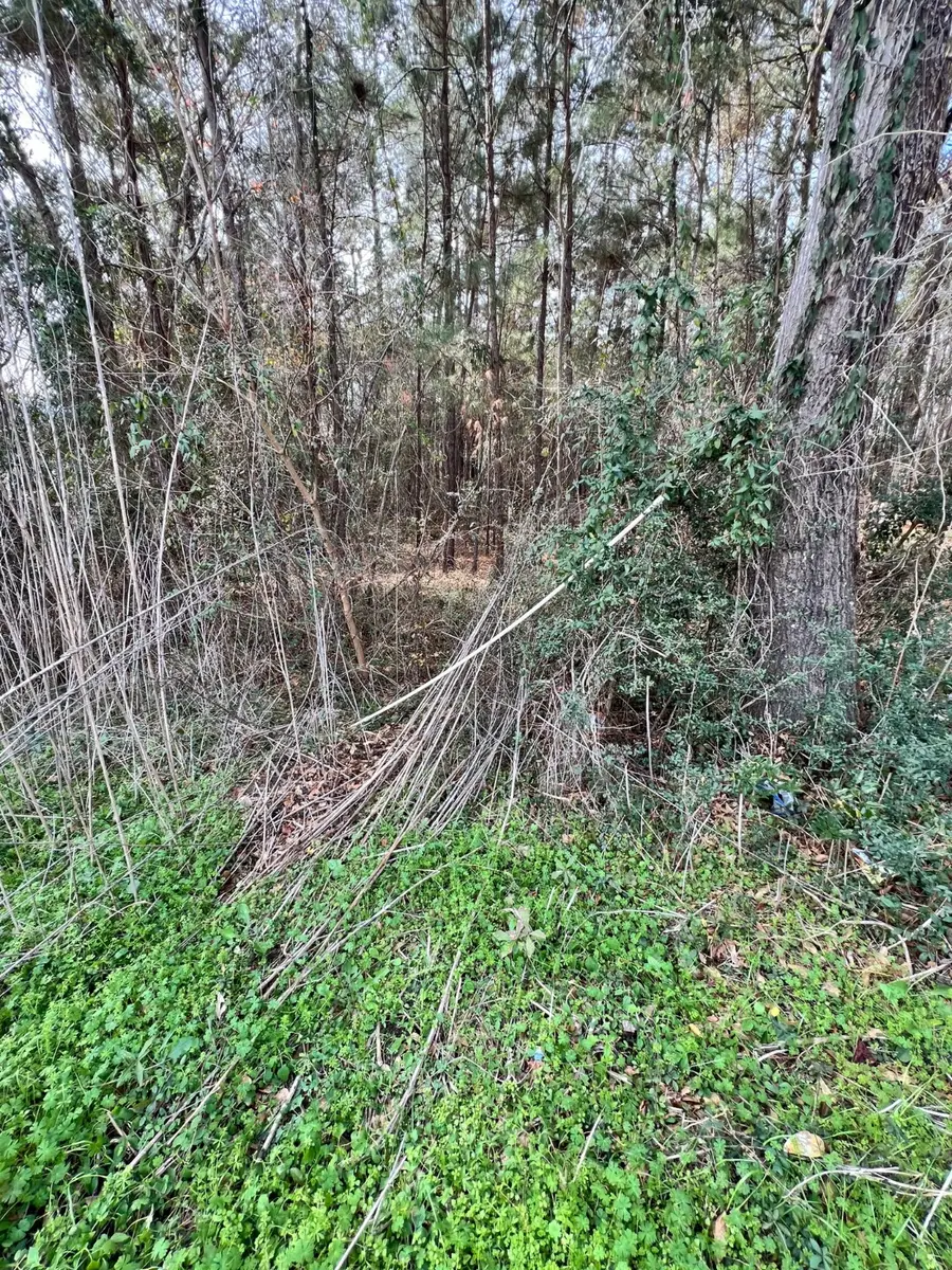 310 Westchase, Montgomery, TX 77316 - Image #2