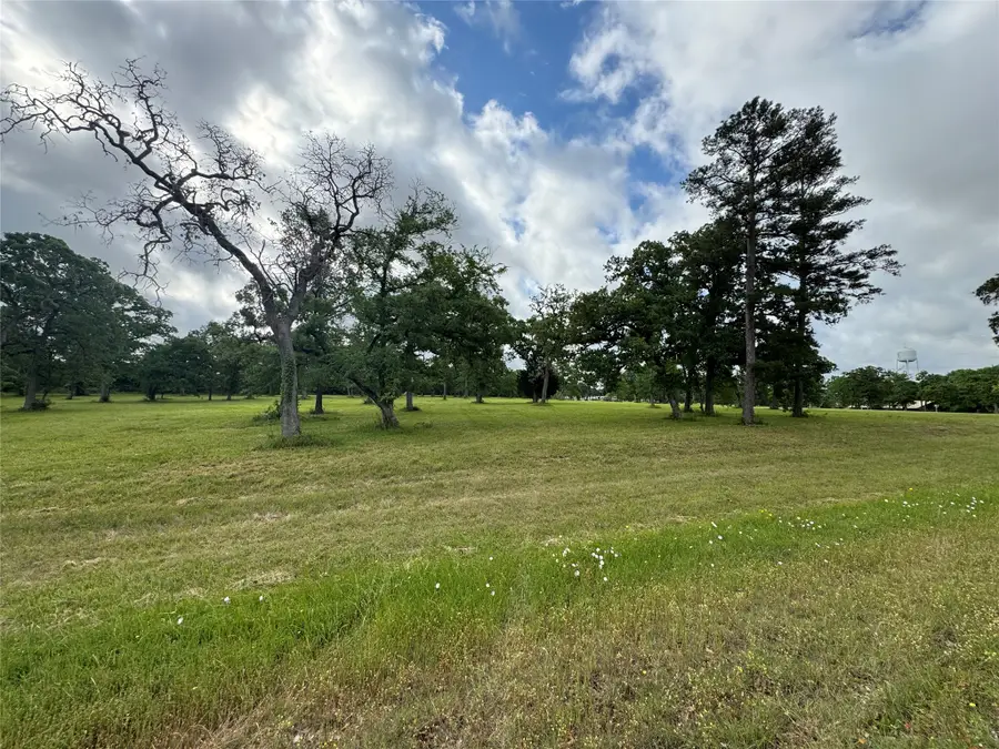 TBD Fm 1696 E, Huntsville, TX 77340 - #2