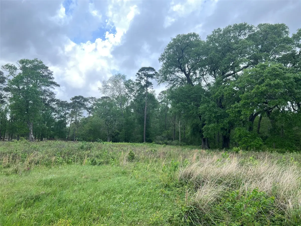 000 N Mlk Drive, Ames, TX 77575 - #1