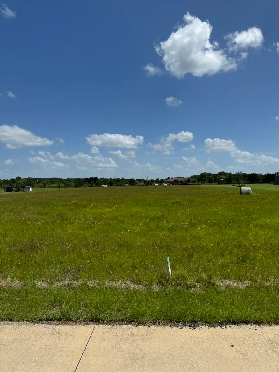 26119 Katy Prairie Drive, Katy, TX 77493 - #2