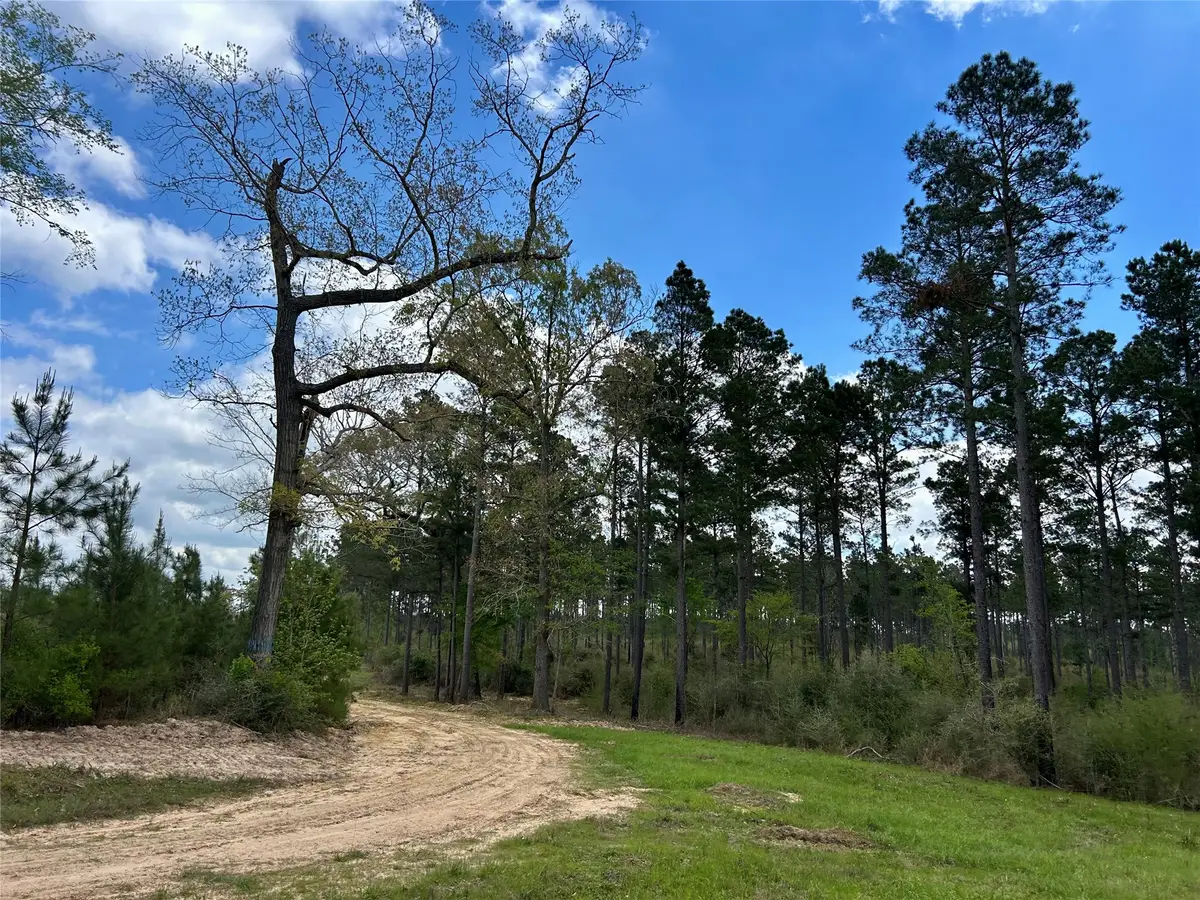 000 Naa, Alto, TX 75925 - #1