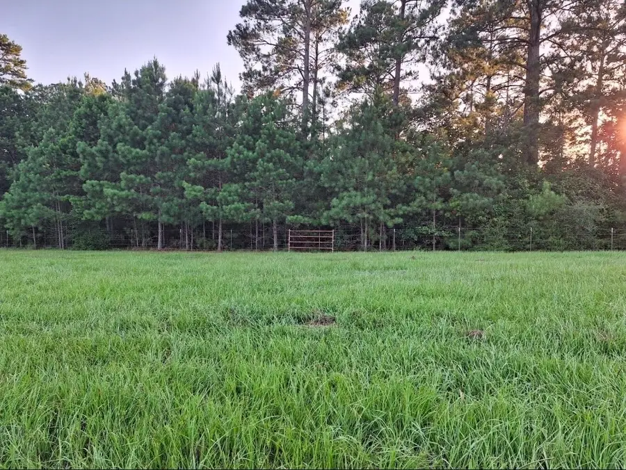282 Blk 12 Lakeland Ranch, Hillister, TX 77624 - #2