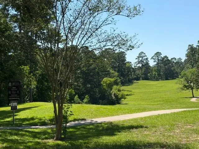 10 Wellington Lane, Conroe, TX 77304 - #3