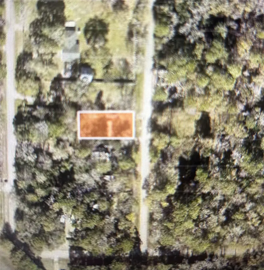 21184 Idlewild Road, New Caney, TX 77357 - #2