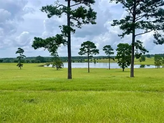 Lot 234 Lakeland Ranch, Hillister, TX 77624