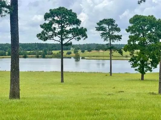Lot 234 Lakeland Ranch, Hillister, TX 77624 - #2