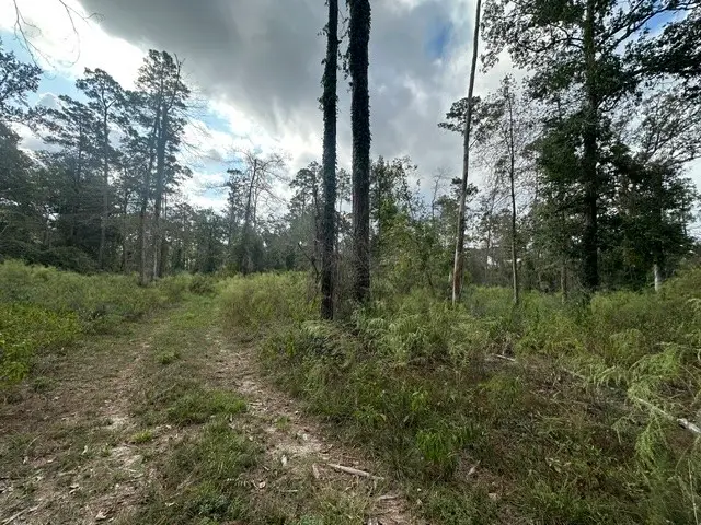 2 Salem Church Rd, Willis, TX 77378 - #3