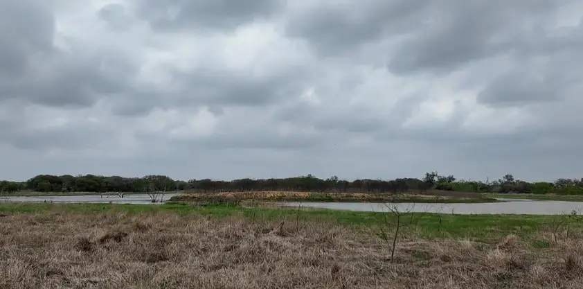 TBD Hwy 90a, Columbus, TX 78934 - #2
