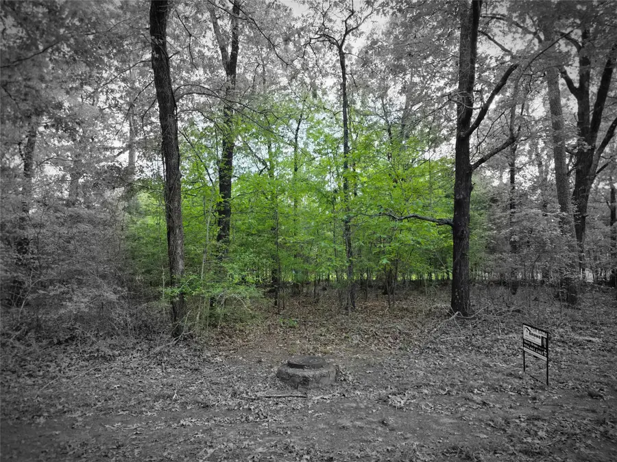 TBD Lot 25 Bending Oaks Lane, Livingston, TX 77351 - #2