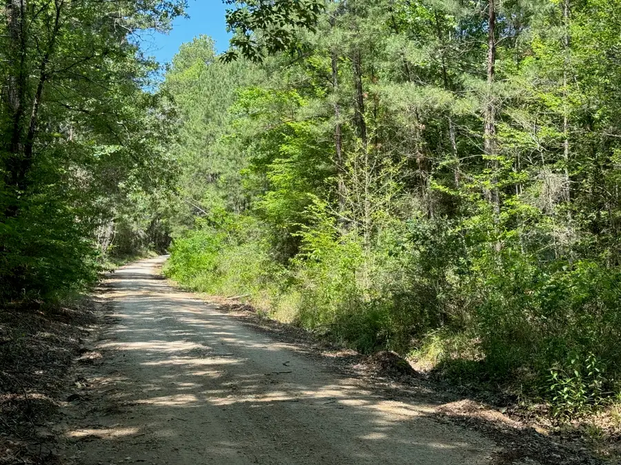 TBD Cr 4720, Kennard, TX 75847 - #2