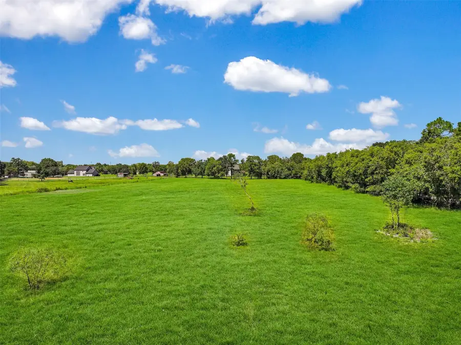 0 Hollier Road, Friendswood, TX 77546 - #3