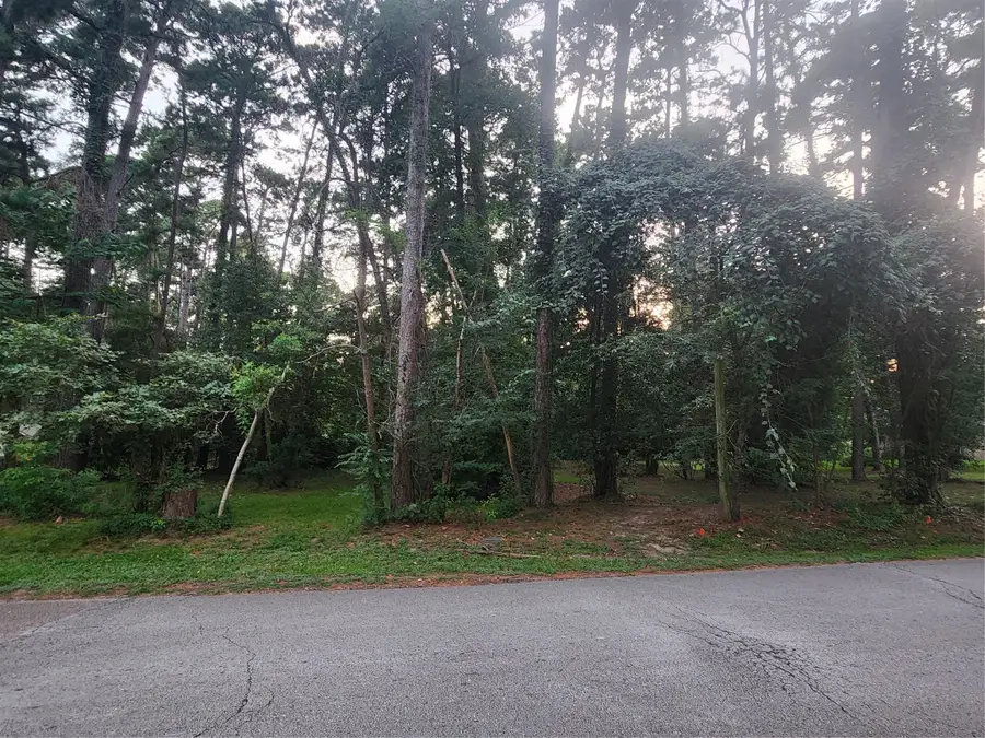 TBD Corinthian Way, Willis, TX 77318 - #2