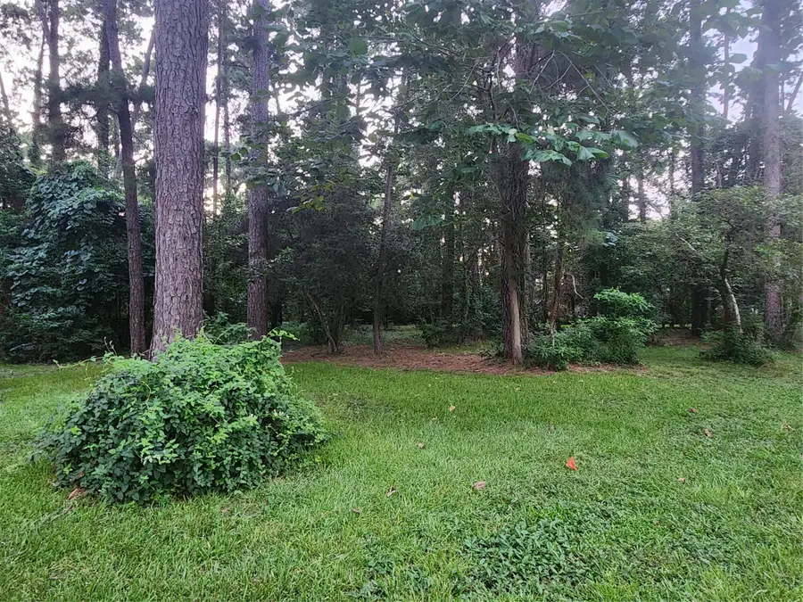 TBD Corinthian Way, Willis, TX 77318 - #3