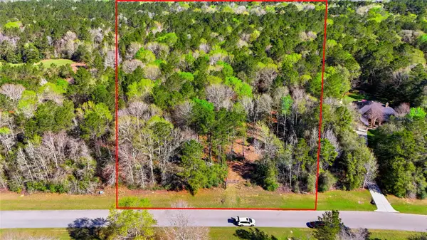 21223 Peach Wood, Cleveland, TX 77328