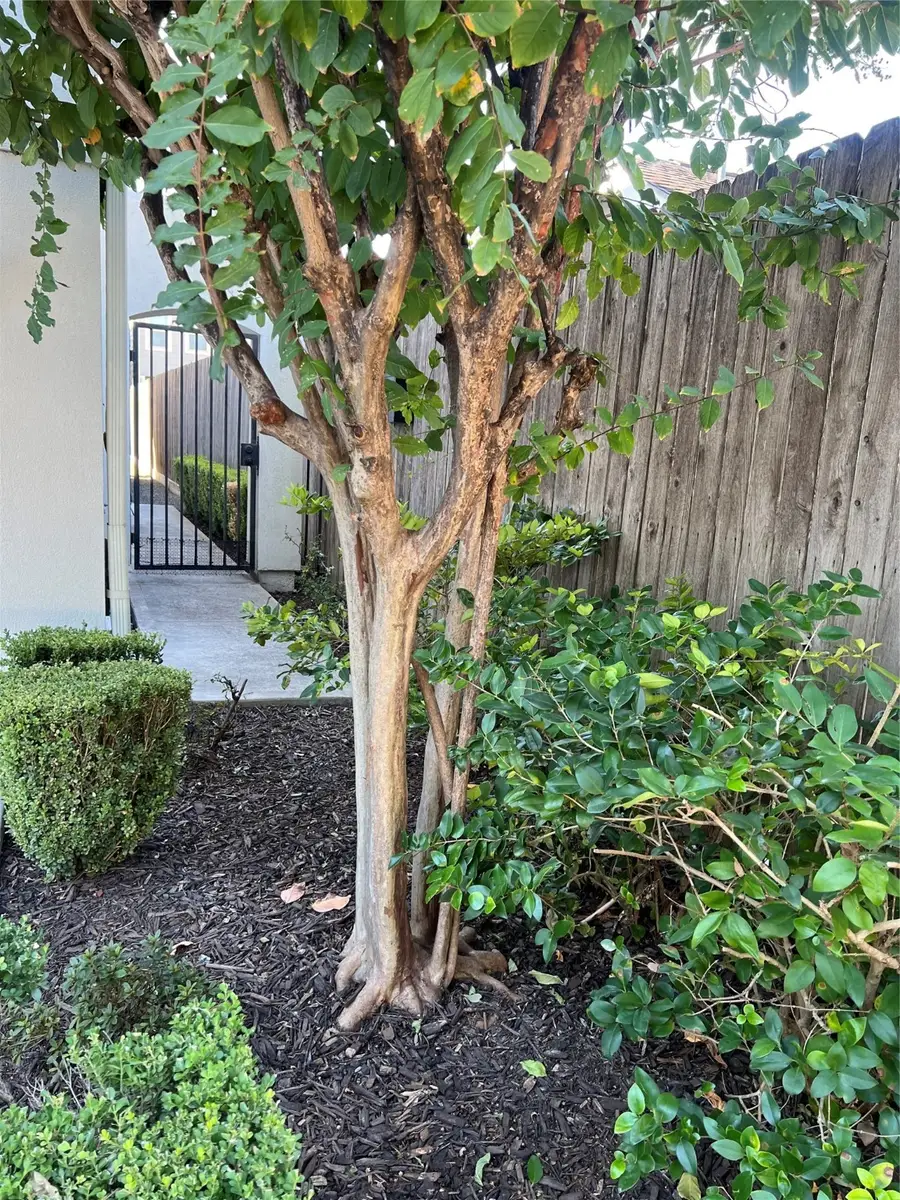 5731 Larkin Street #B, Houston, TX 77007 - Image #2