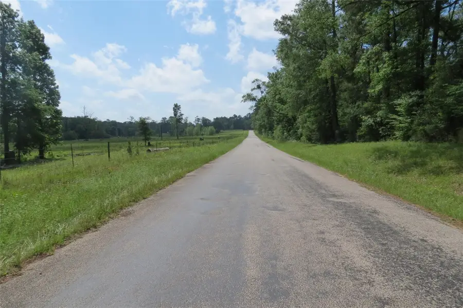 TBD Tbd Dorrell Road, Huntsville, TX 77340 - #3