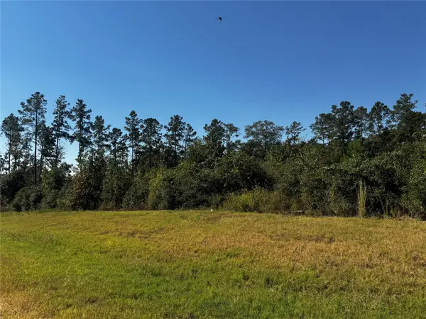 15279 Rubicon Road, Willis, TX 77378