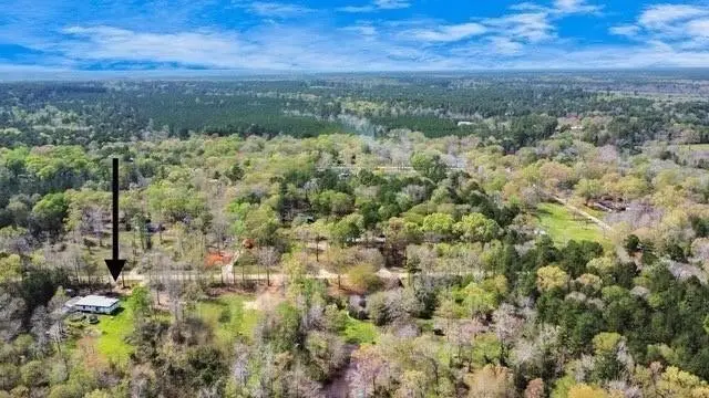 113 Bonnie Creek, Coldspring, TX 77331 - #1