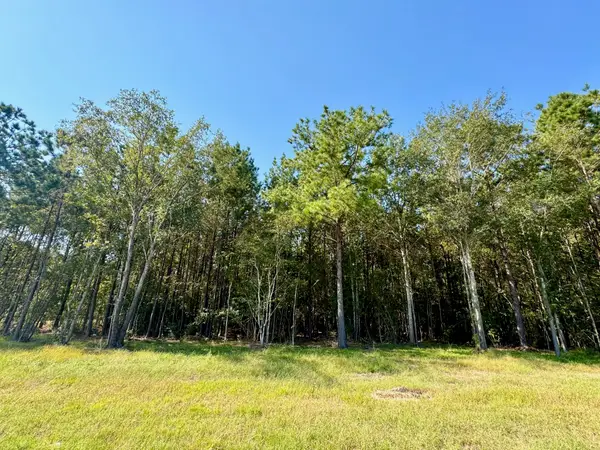 TBD Stonebrook Drive, Livingston, TX 77351