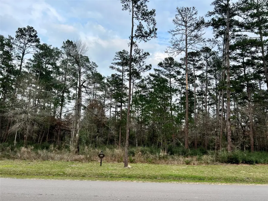 TBD6 Lily Bean Road, Montgomery, TX 77316 - #2