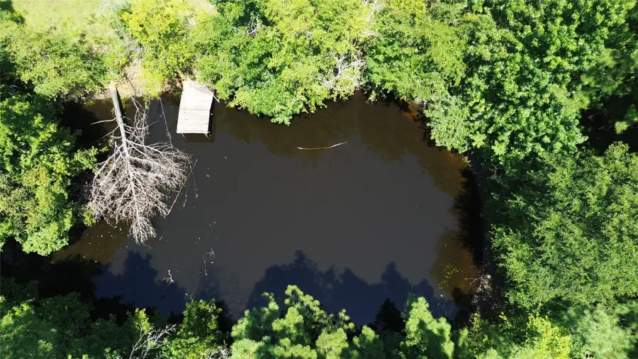 354 County Road 3025, Crockett, TX 75835 - #3
