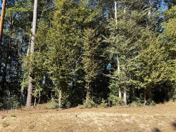 0000 L C Herschap Lane, Livingston, TX 77351