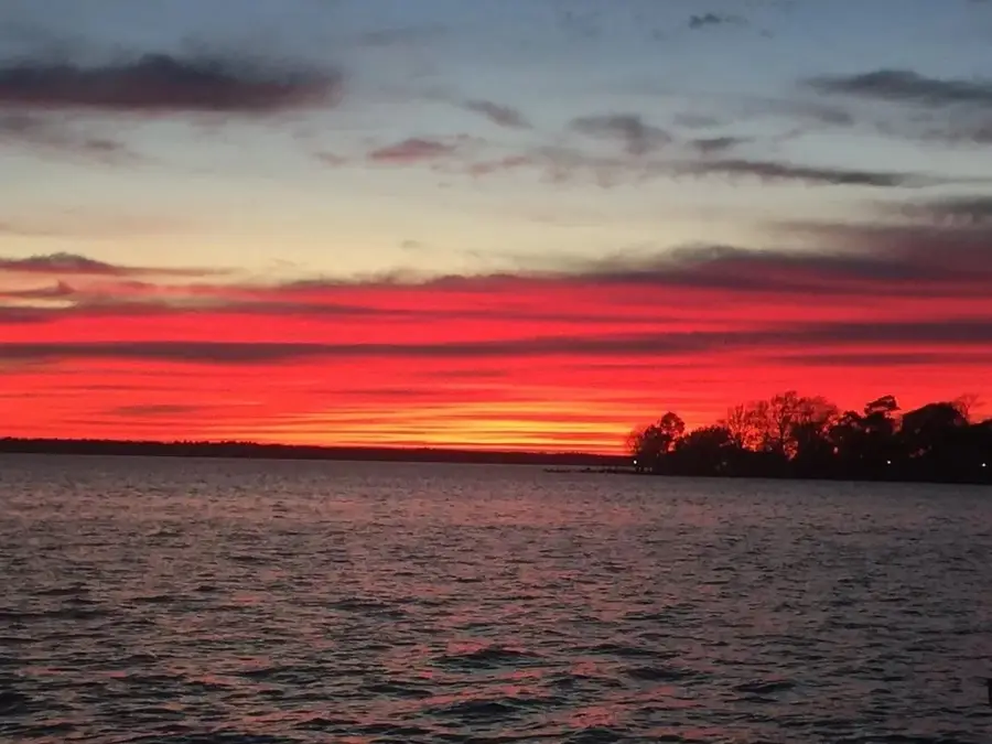 Lot 8 Charolais, Onalaska, TX 77360 - Image #3