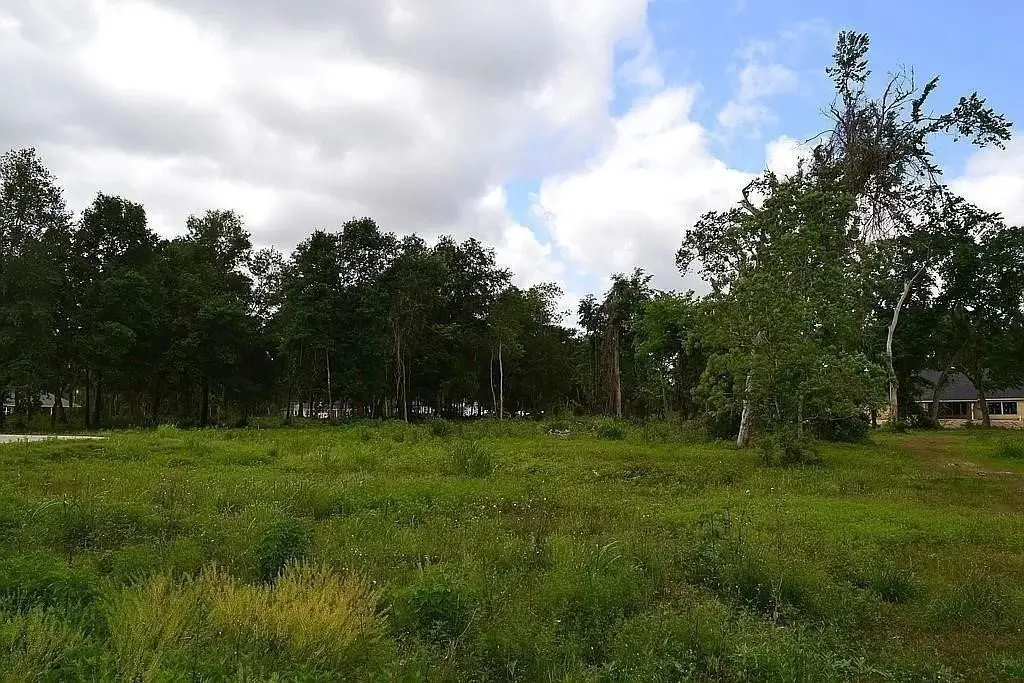 4602 Cottonwood Run, Alvin, TX 77511 - #1