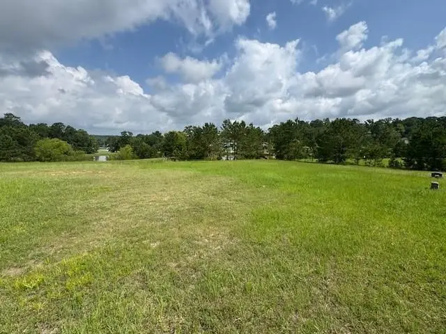 37 Silver Lakes Drive, Huntsville, TX 77340 - #2