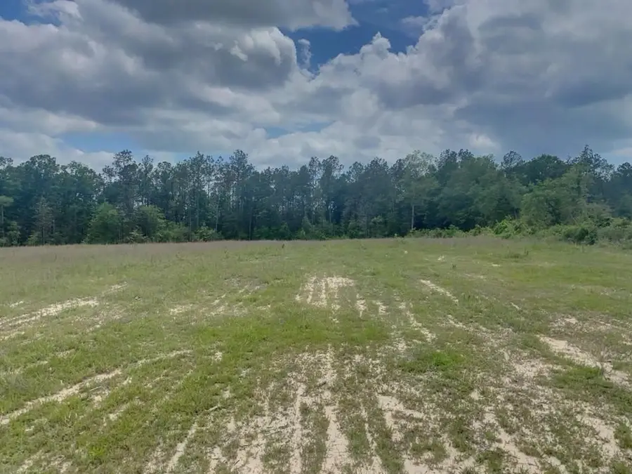 3051 County Road 1700, Warren, TX 77664 - #2