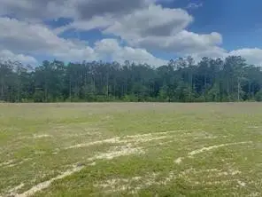 3051 County Road 1700, Warren, TX 77664 - #3