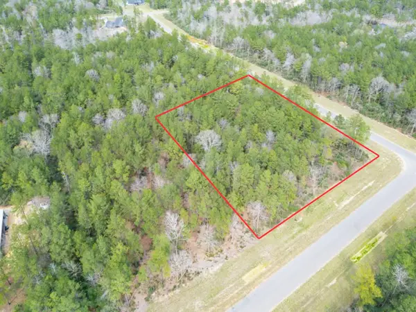 10521 Chapter Drive, Willis, TX 77378