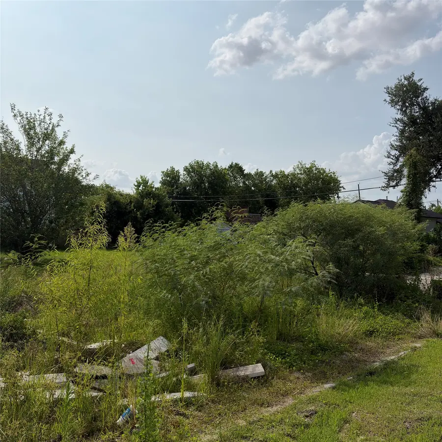 514 E 31st Street, Houston, TX 77018 - #3