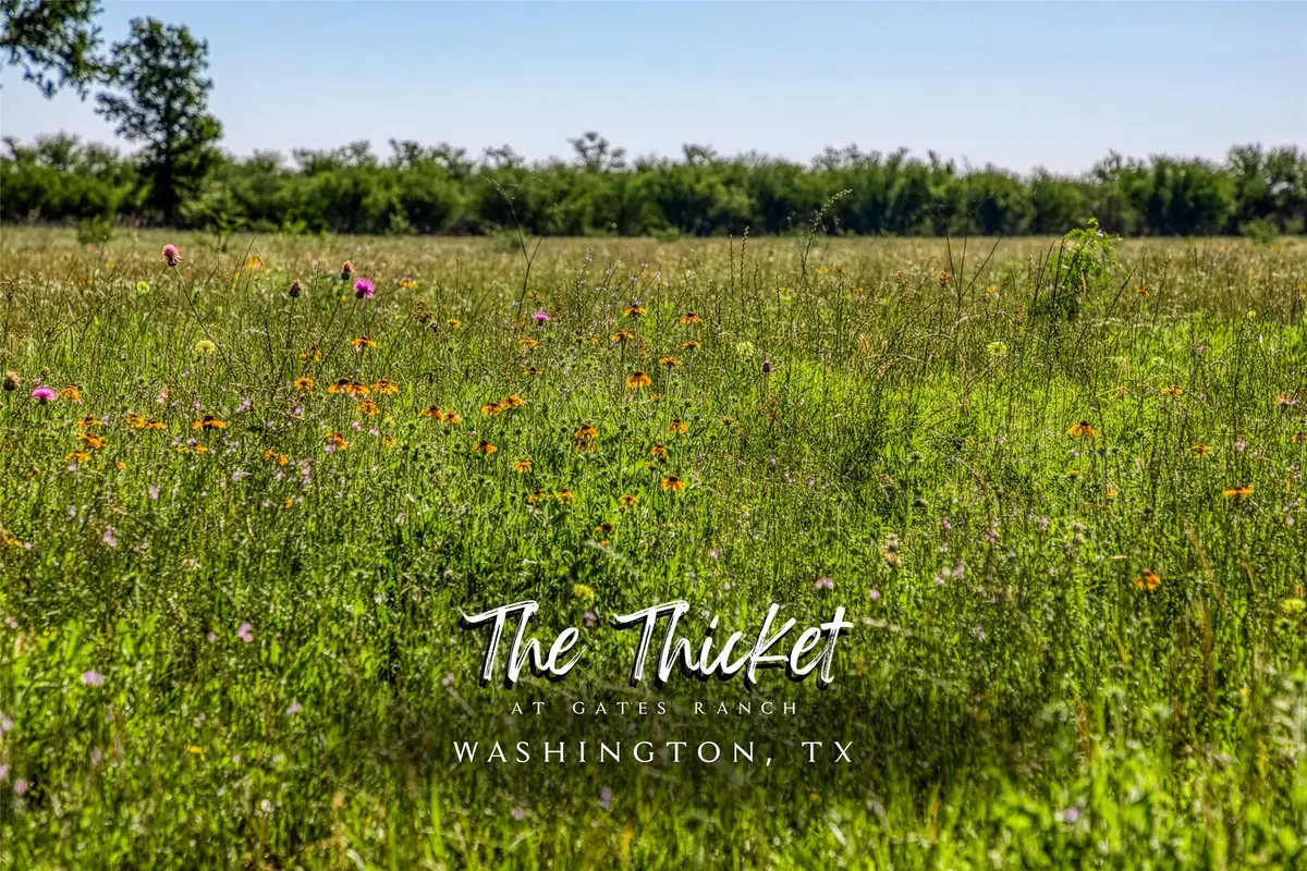 00000 Flat Prairie Road, Washington, TX 77880 - #1