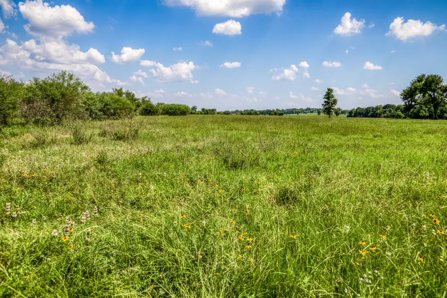 00000 Flat Prairie Road, Washington, TX 77880 - #2