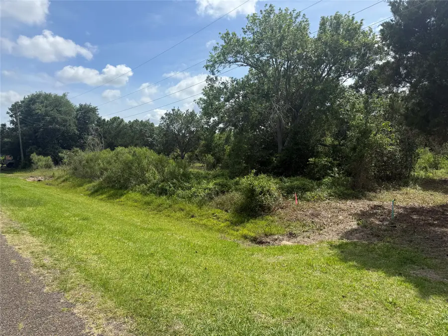 0 Hall Street, Anahuac, TX 77514 - #3