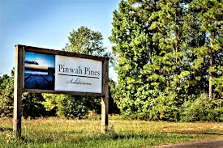 TR 29 Oak Pine Drive, Livingston, TX 77351 - #3