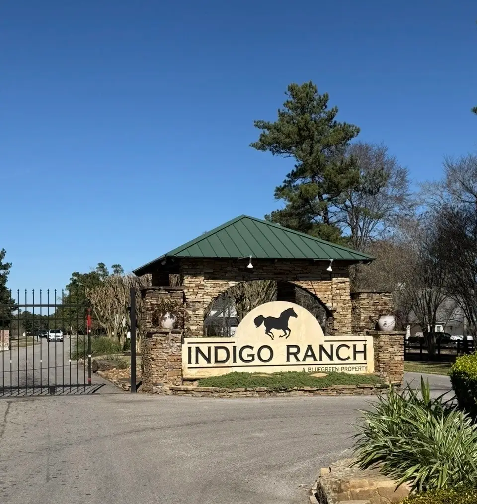 272303 Hitching Post Court, Magnolia, TX 77355 - #1