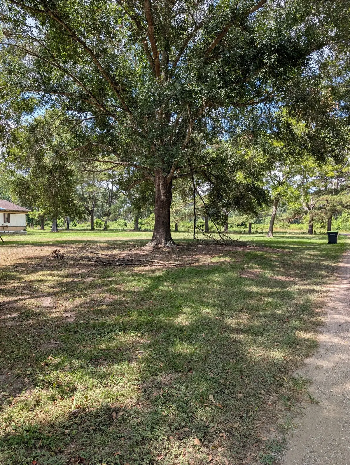 20265 Willaby Road, New Caney, TX 77357 - #1