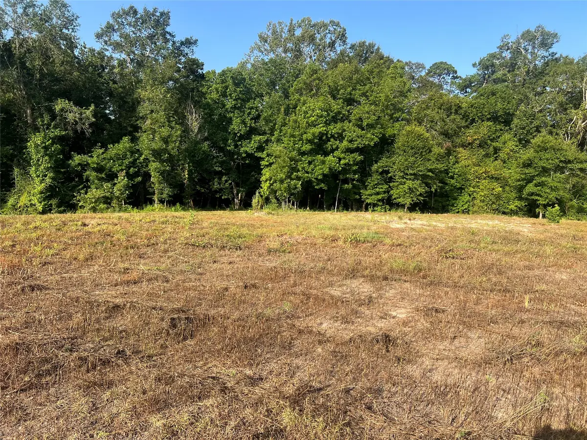 TBD 14 Upper Leggett Road, Livingston Onalaska, TX 77350 - #1