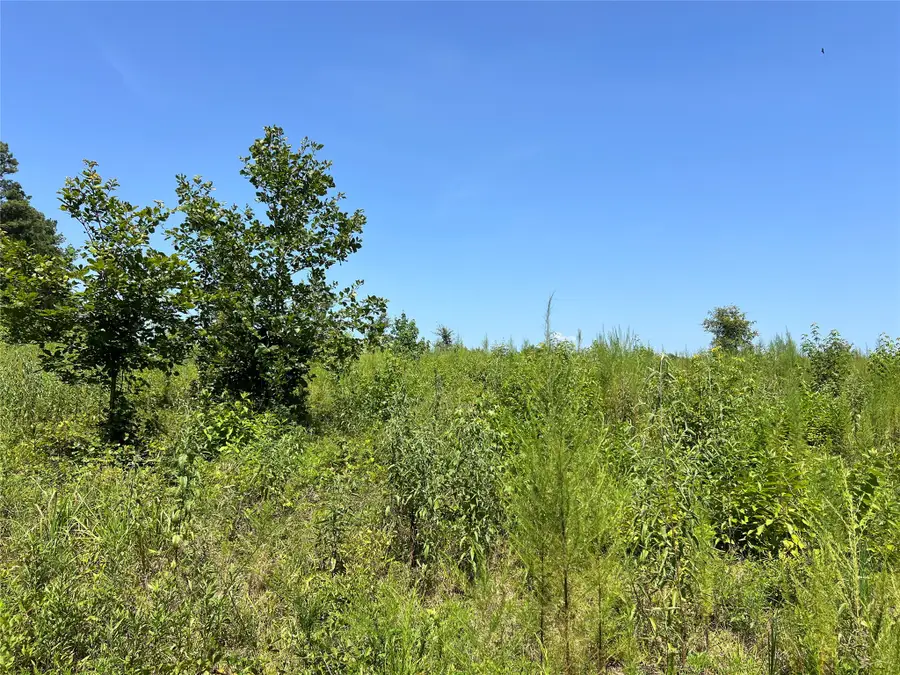 TBD 14 Upper Leggett Road, Livingston Onalaska, TX 77350 - #2