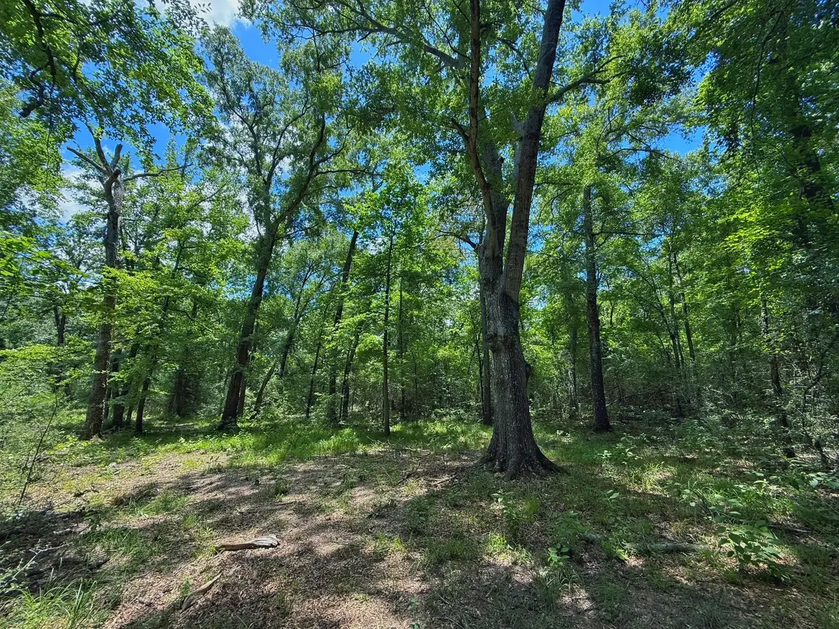 TBD Cr 296, Oakwood, TX 75855 - #1