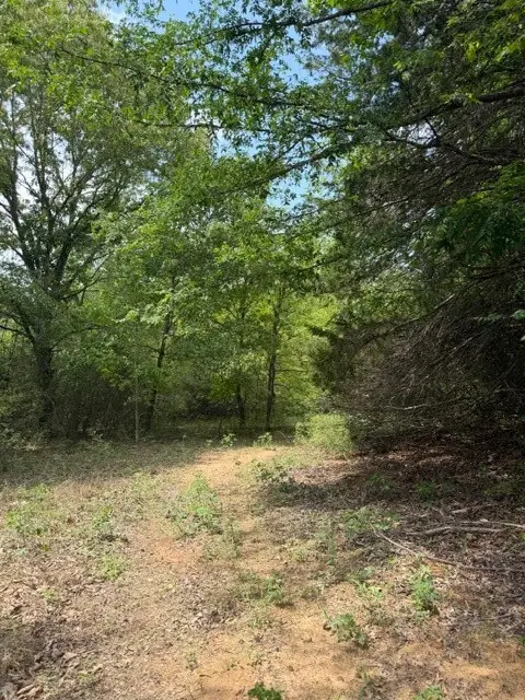 NA Cherokee Trail, Lovelady, TX 75851 - #2