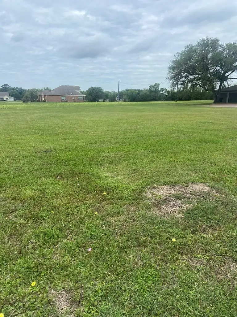 3801 Heatherglen Street, Bay City, TX 77414 - #3