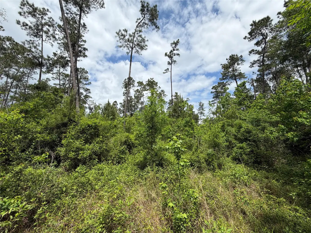 TBD Kelly Rd Road, Thicket, TX 77374 - #1