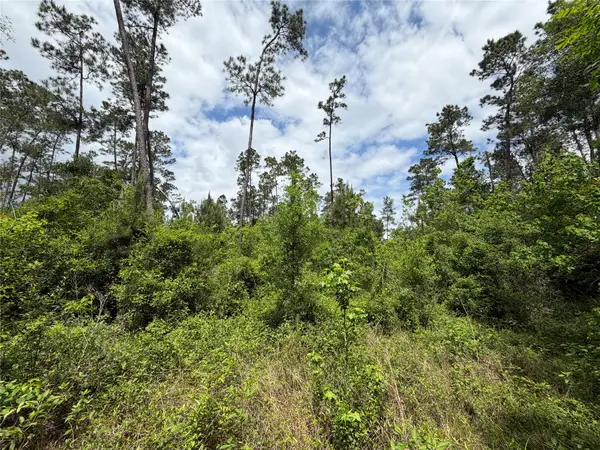 TBD Kelly Rd Road, , TX 77374