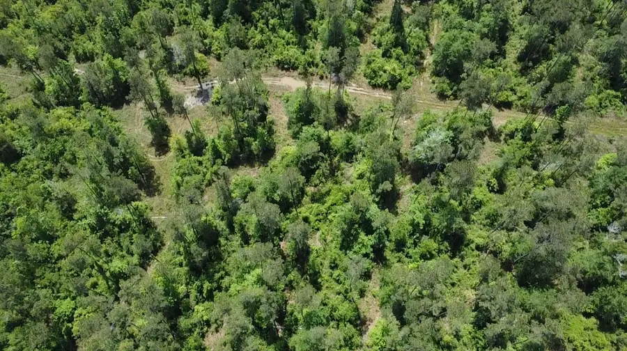 TBD Kelly Rd Road, Thicket, TX 77374 - #3