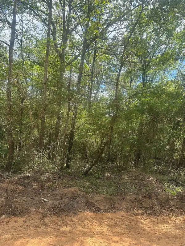 00 Patricia Drive, Livingston, TX 77351