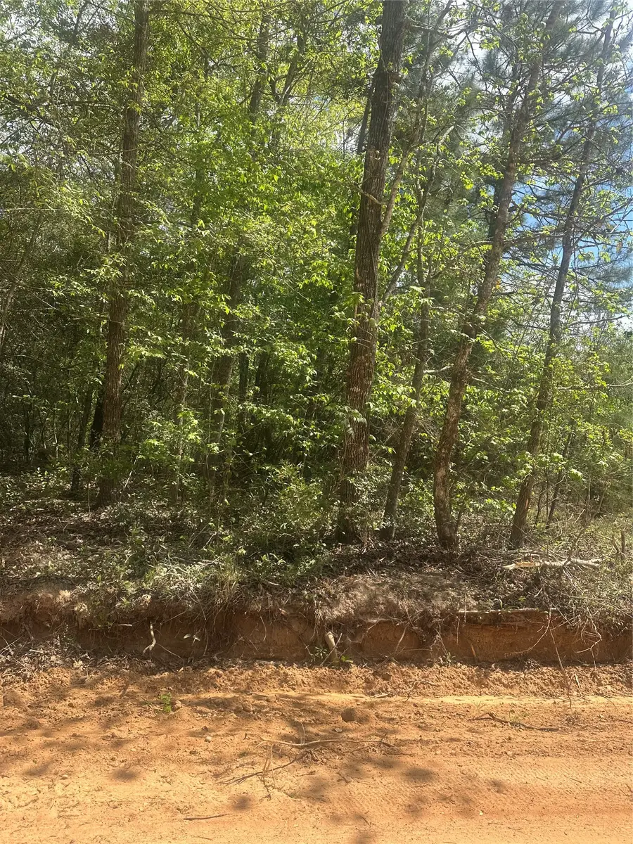 00 Patricia Drive, Livingston, TX 77351 - #2